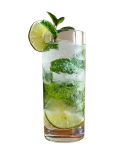 Virgin-mojito Virgin Mojito Cocktail